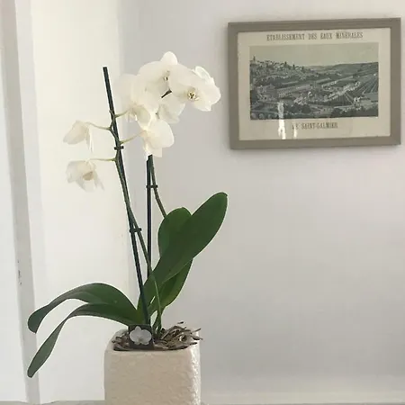 Affittacamere Maison Ladeveze